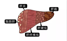 微信圖片_20201102152723.jpg