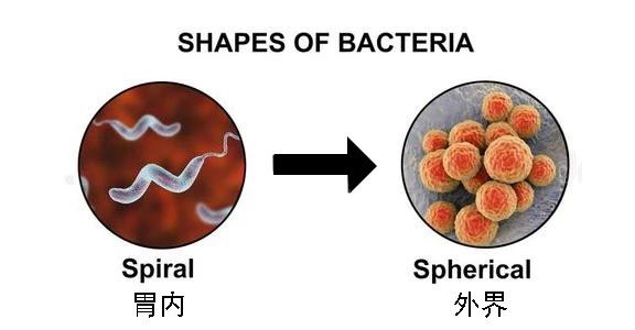這種致癌物傳染性極強，50%中國人都有！很多人還不知道
