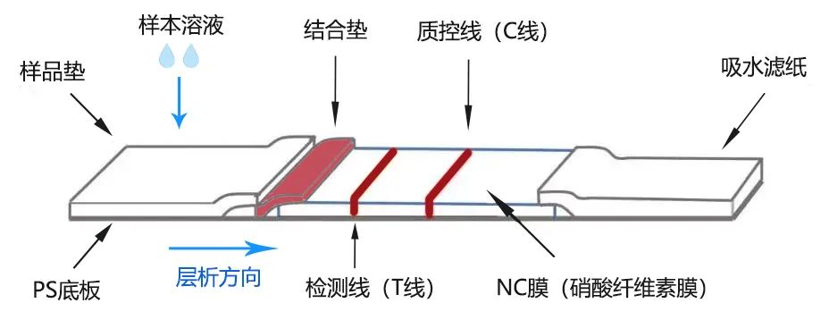 微信圖片_20220407185617.jpg