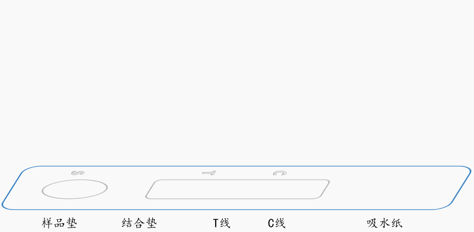 微信圖片_20220407185621.gif