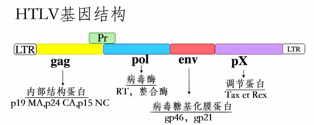 微信圖片_20220530170722.jpg