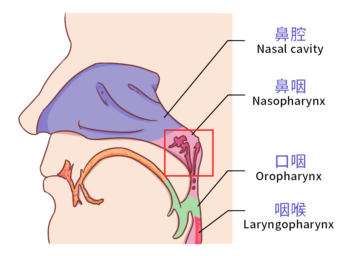 微信圖片_20220616085604.png
