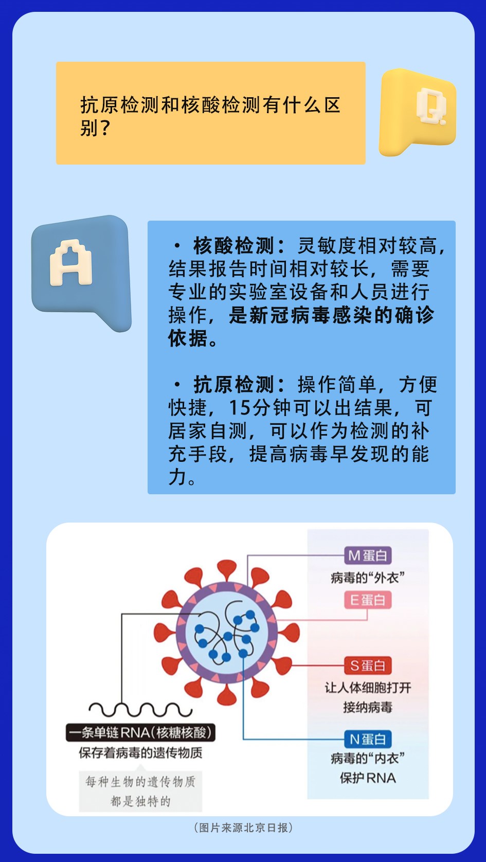 抗原檢測和核酸檢測的區(qū)別.jpg