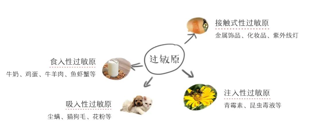 微信圖片_20220711102805.jpg