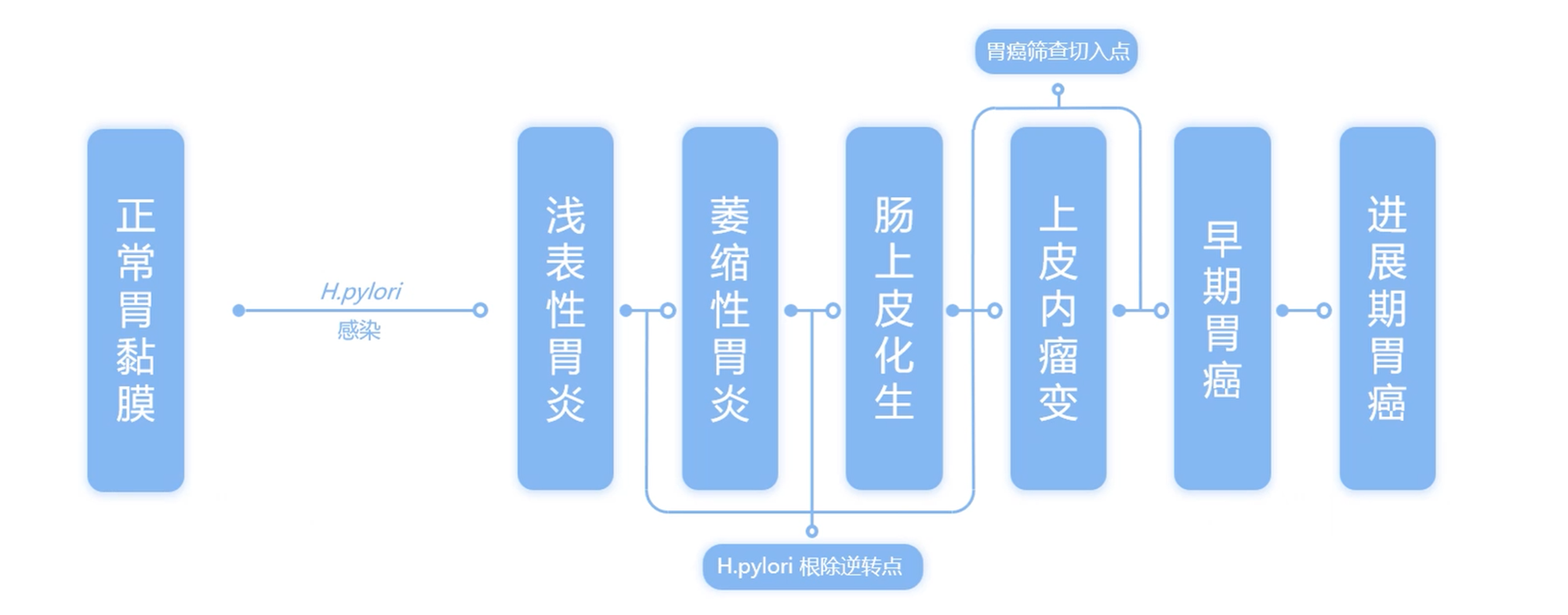 胃癌進展流程.png